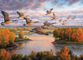 Cobble Hill 1000-piece jigsaw puzzle of Geese flying over a river with autumn trees on either side
