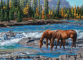 cobble hill 1000-piece jigsaw puzzle of Two horses drinking water from a river with a forest and mountains in the background