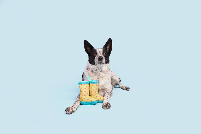 BARK Smelly Wellies