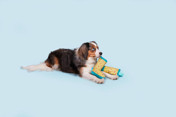 BARK Smelly Wellies
