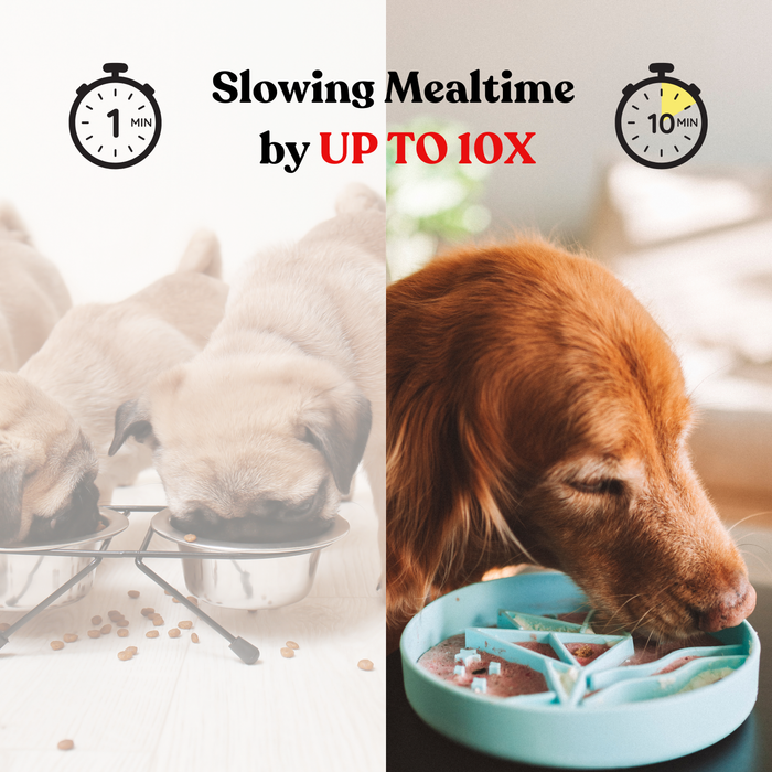 Barks and Brownies - Petite Feeding - Small - Beige