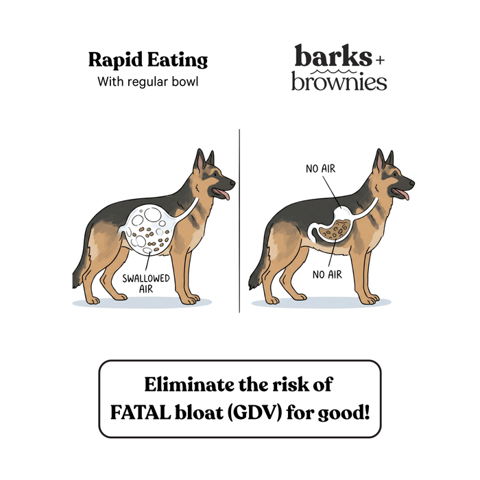 Barks and Brownies - Petite Feeding - Small - Beige