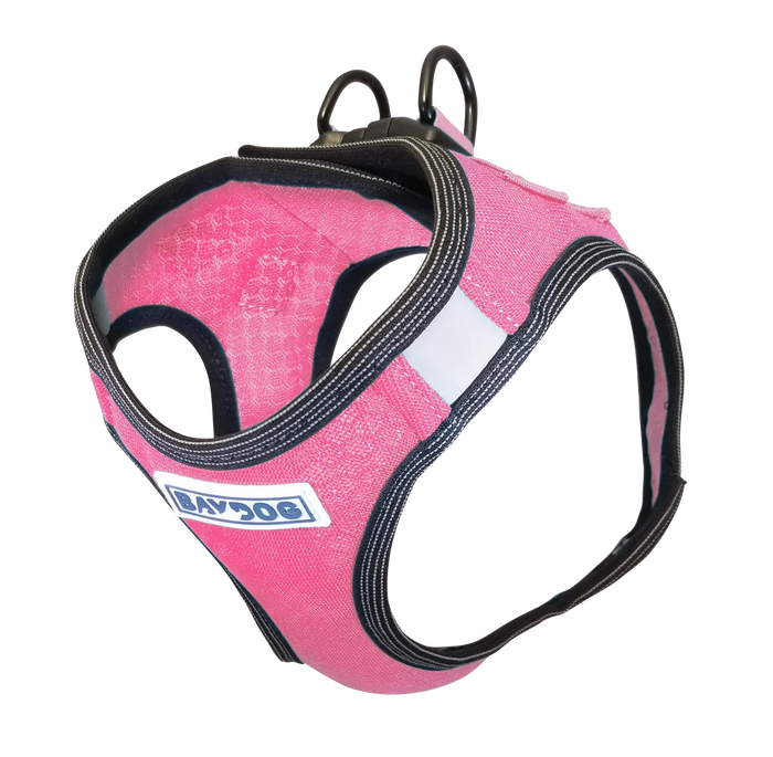 XL / Pink
