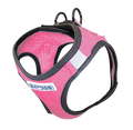 XL / Pink