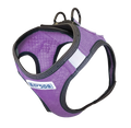 Bay Dog Liberty Harness Violet