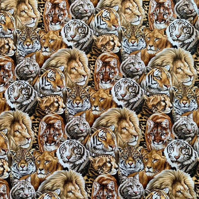 Big Cats