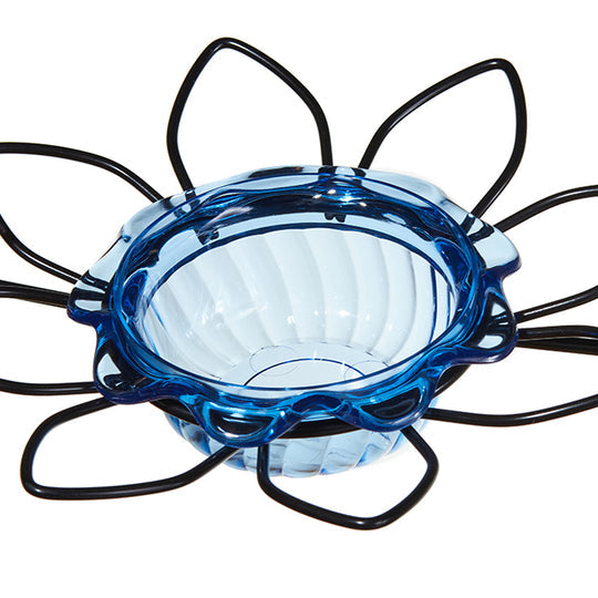 Birds Choice Bluebird Feeder Flower Shape for Mealworms and Dried Fruit