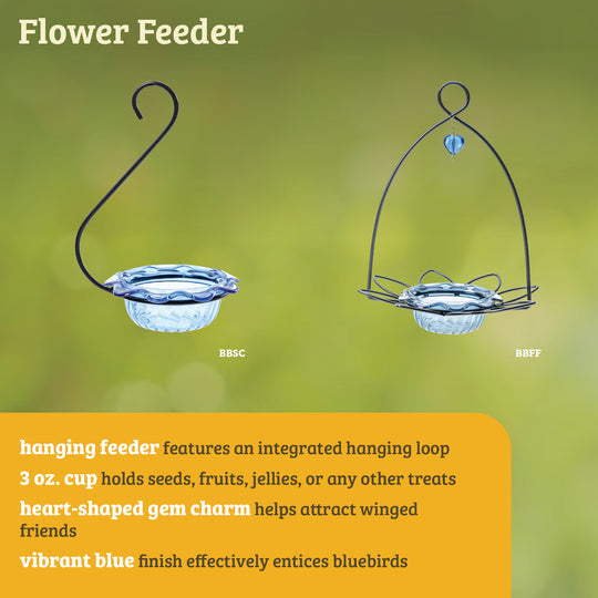 Birds Choice Bluebird Feeder Flower Shape for Mealworms and Dried Fruit