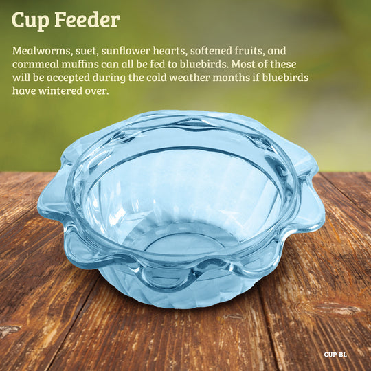Birds Choice Bluebird Feeder Flower Shape for Mealworms and Dried Fruit