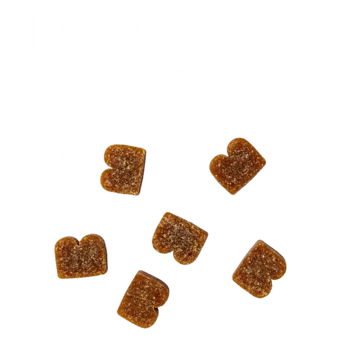 BIXBI® Pocket Trainers® for Dogs – Chicken Recipe Dog Treats