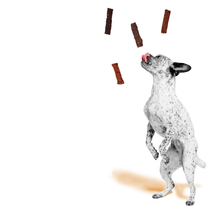 BIXBI® Skin & Coat Jerky Treats for Dogs – Salmon Recipe