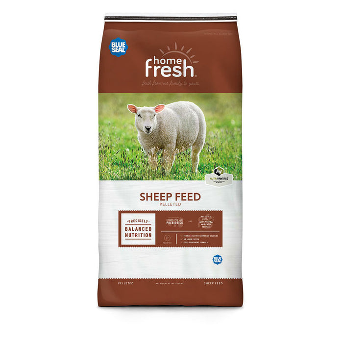 Blue Seal Home Fresh Shepherd 16