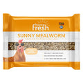 Blue Seal Home Fresh Sunny Mealworm Treat Bar