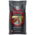 Blue Seal Sentinel Care Gastric Support