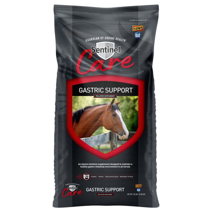 Blue Seal Sentinel Care Gastric Support