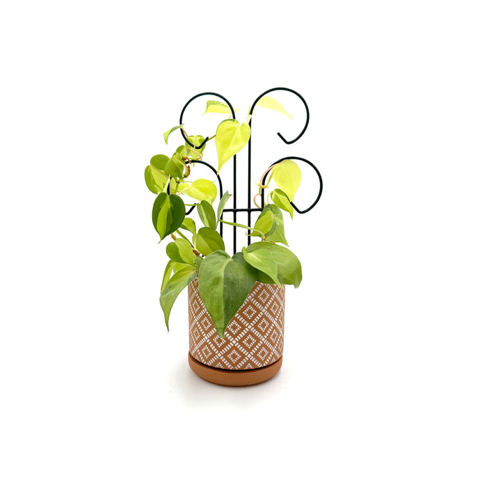Bosmere Houseplant Trellis- 18" Mini Scroll Pot Trellis