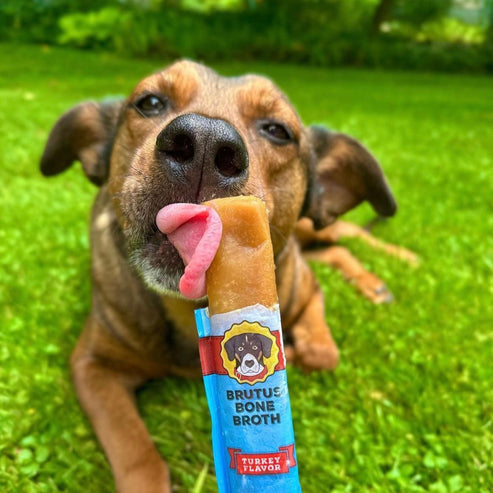 Brutus Broth Brutus Brothcicles Dog Treats