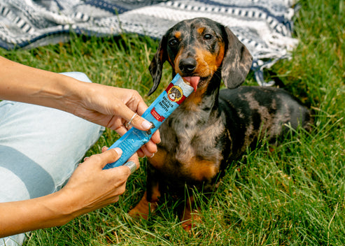 Brutus Broth Brutus Brothcicles Dog Treats