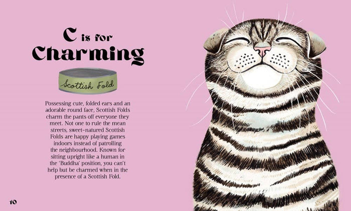 Catphabet : A Cat Alphabet
