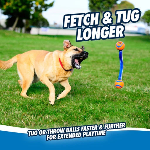Chuckit! Ultra Duo Tug Dog Toy