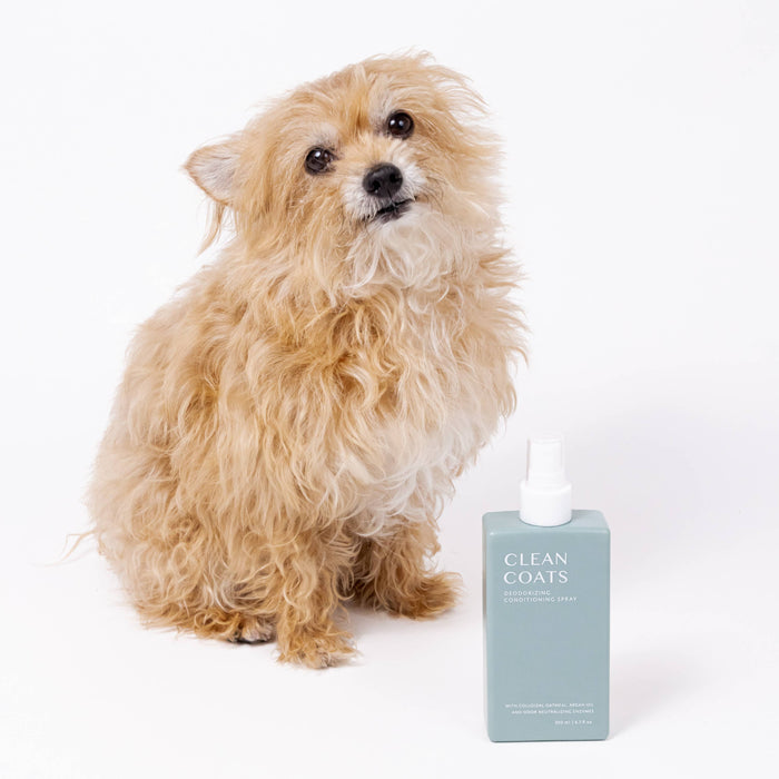 Clean Coats - Dog Conditioning Spray & Deodorizer 2 in 1 For Smelly Dogs