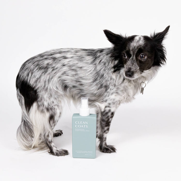 Clean Coats - Dog Conditioning Spray & Deodorizer 2 in 1 For Smelly Dogs