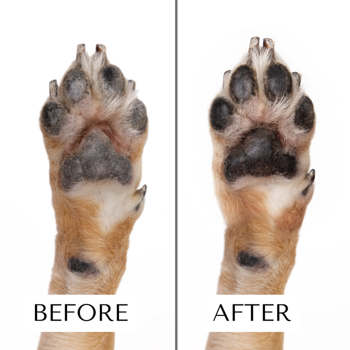Clean Coats - Dog Moisturizing Serum for Paws & Noses - Fast Absorbing