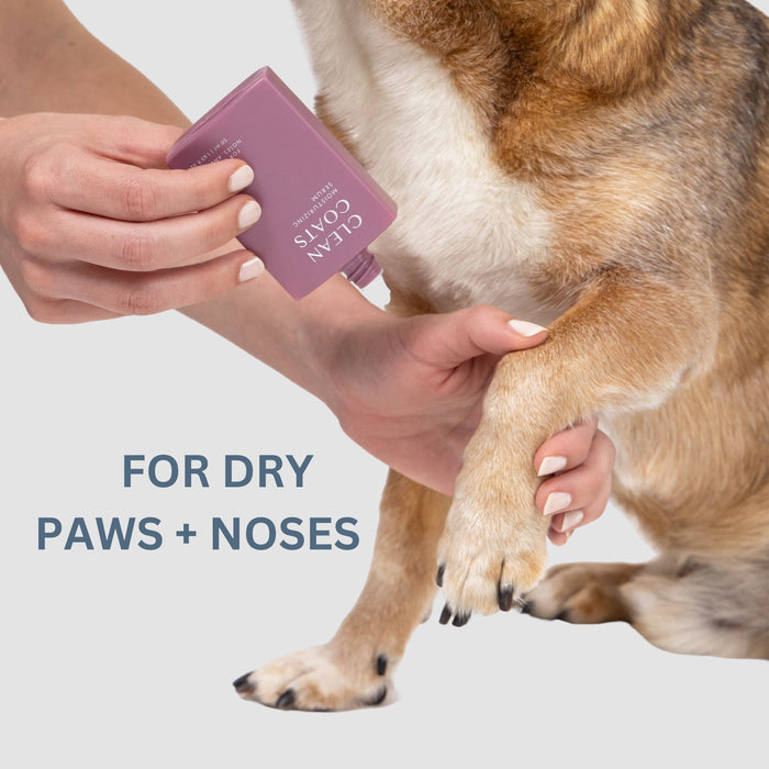 Clean Coats - Dog Moisturizing Serum for Paws & Noses - Fast Absorbing