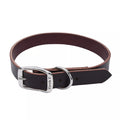 Coastal Pet Products Circle T Latigo Leather Town Dog Collar 1" x 24"