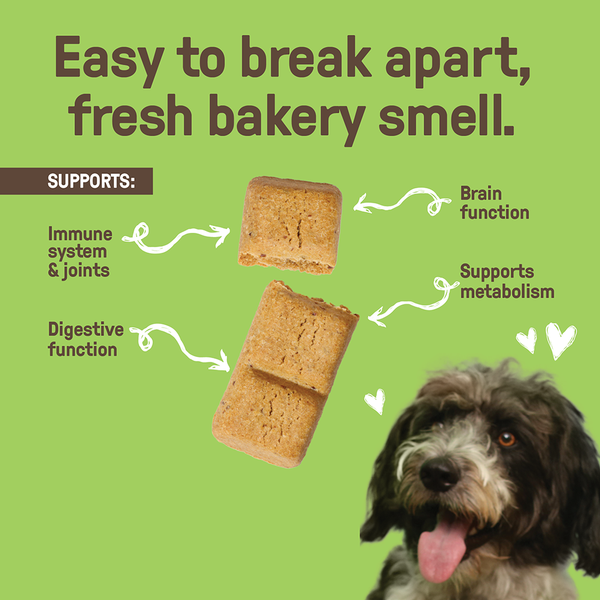 Cookie Pal Pumpkin & Chia Biscuits Dog Treats