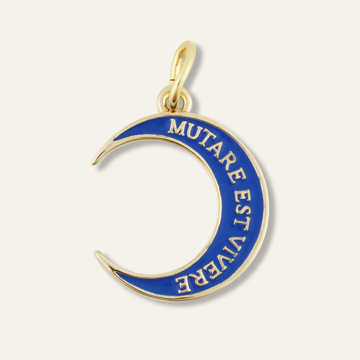 Crescent Moon Charm