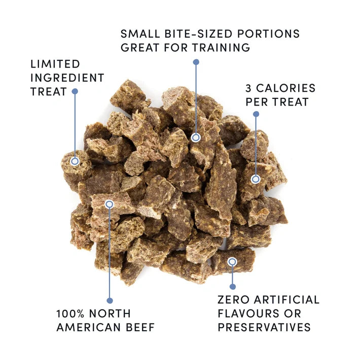 Crumps Semi Moist Beef Mini Trainers