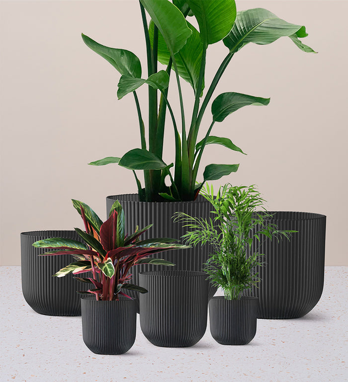 Dark Grey Elho Vibes Pot (25cm)