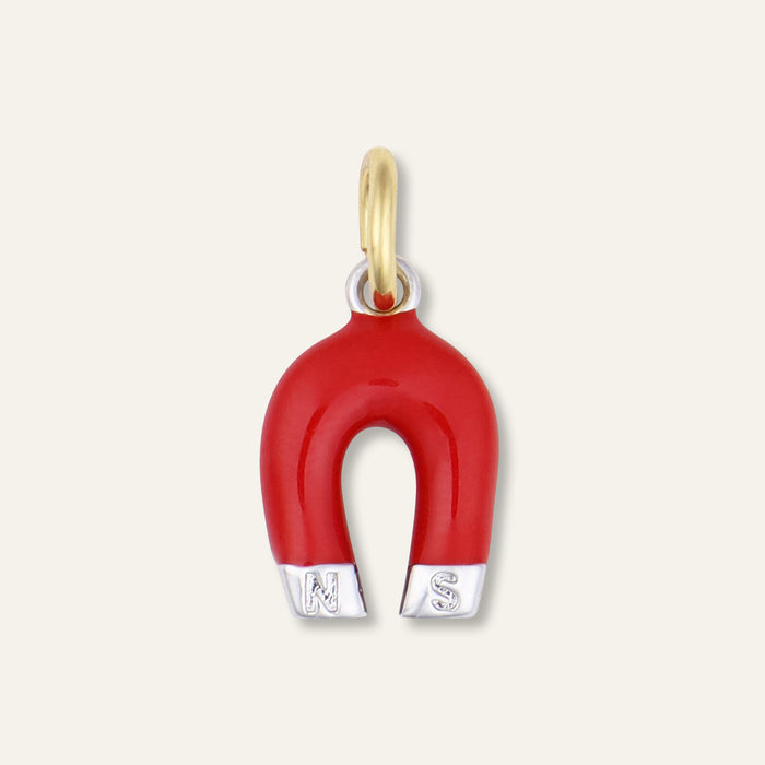 Enamel Magnet Charm