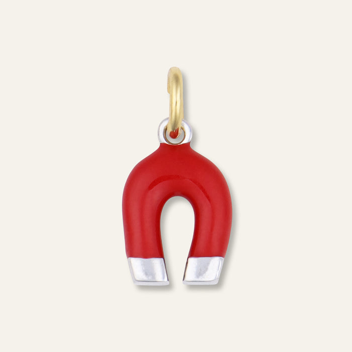Enamel Magnet Charm