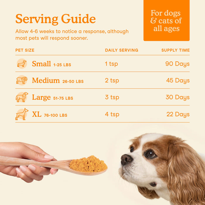 Fera Pets Pumpkin Plus Fiber Support for Dogs and Cats