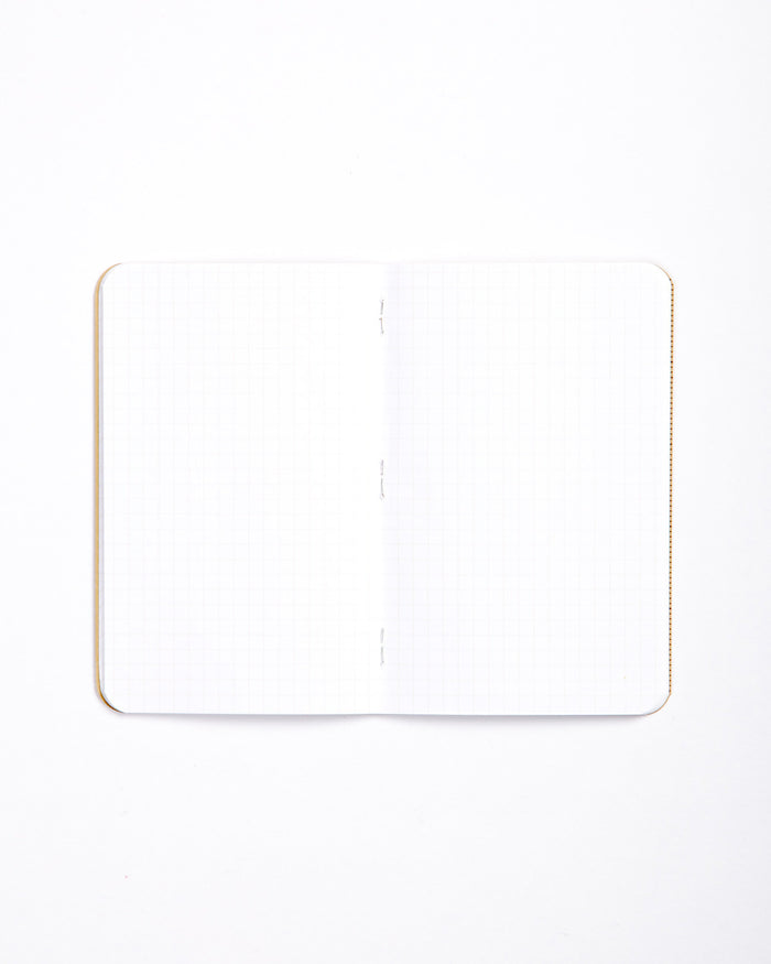 Field Notes Pack of 3 - Graph