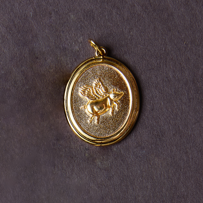 Flying Pig Coin