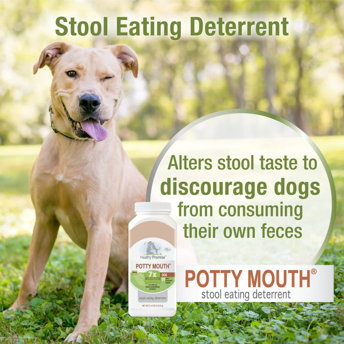 Four Paws Healthy Promise Potty Mouth Tablets - Coprophagia Stool Eating Deterrent for Dogs