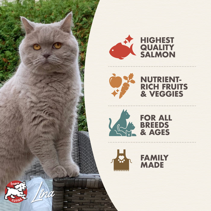 Fromm Four-Star Salmon À La Veg® Recipe Dry Cat Food
