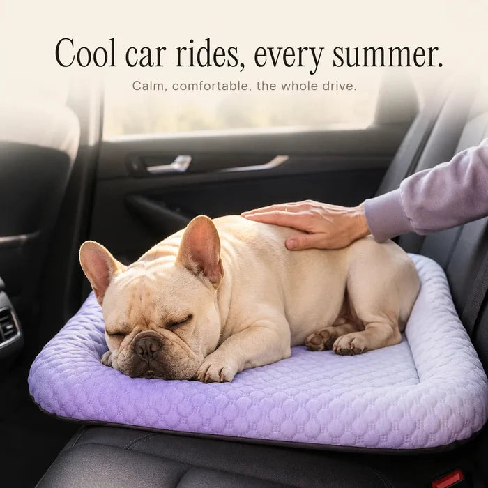 Frostpaw – Cooling Pet Mat for Dogs and Cats