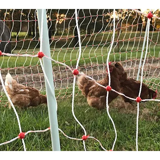 Gallagher Poultry Netting 82ft