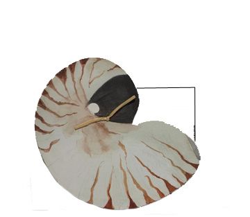 GAW796 Nautilus with glitter