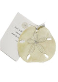 GAW927W Sand Dollar with glitter