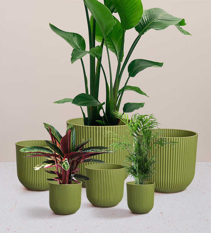 Green Elho Vibes Pot (22cm)