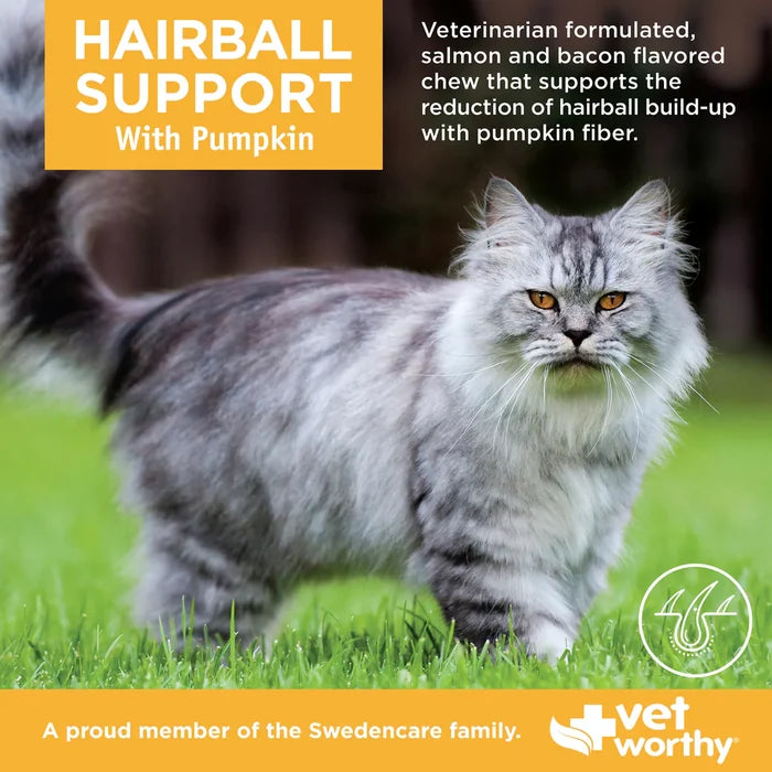 Hairball Support w/ Pumpkin Soft Chews Feline 60 ct