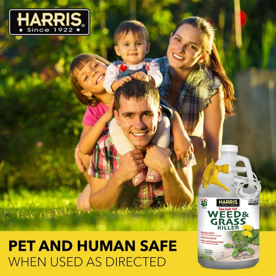 Harris Sea Salt 10X Weed & Grass Killer Spray