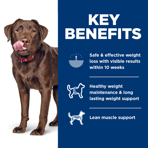 Hill's Science Diet Adult Perfect Weight Large Breed Chicken Recipe Dog Food