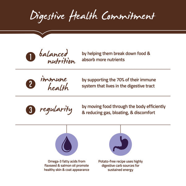 Holistic Select Natural Adult Health Chicken Meal and Brown Rice Recipe Dry Dog Food