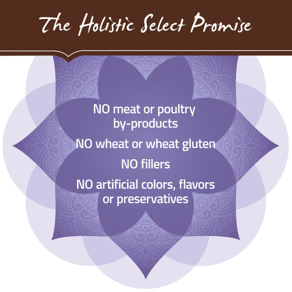 Holistic Select Natural Adult Health Chicken Meal and Brown Rice Recipe Dry Dog Food